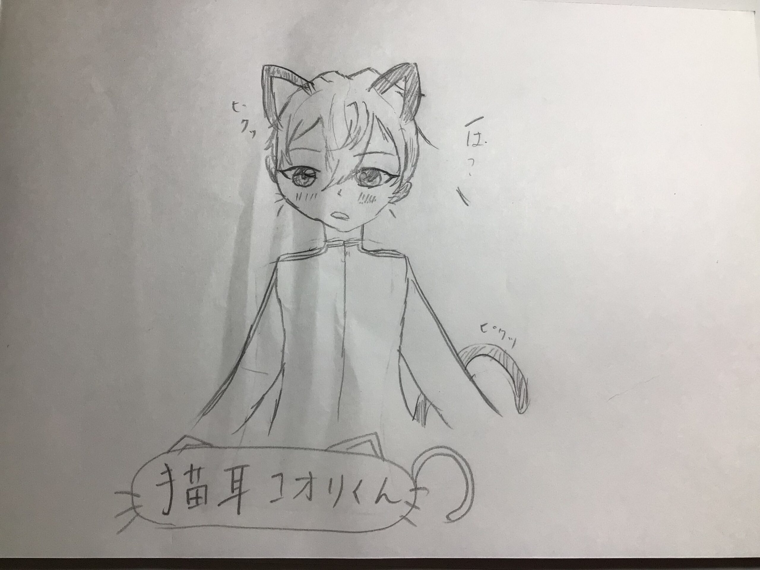 ギャラリー画像
