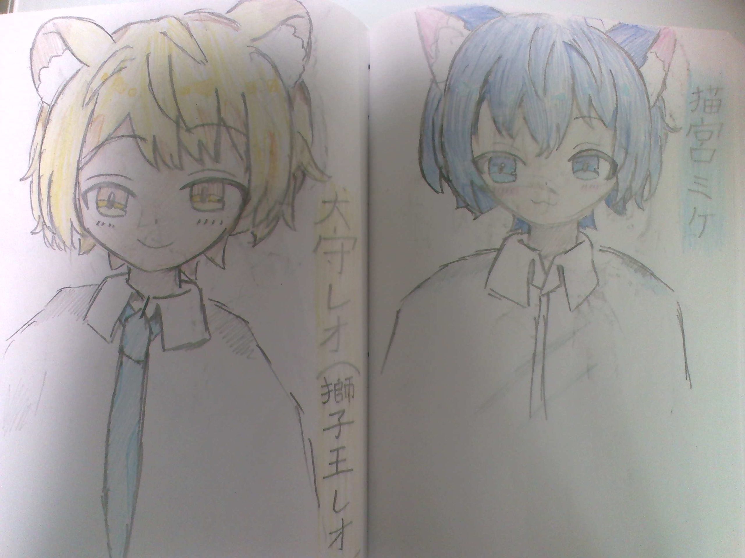 ギャラリー画像